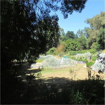 Learning science locally: Community gardens and our future